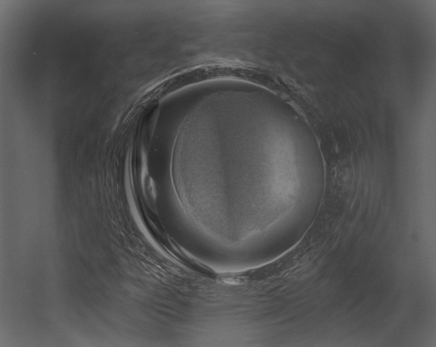 X0000054461303200508011451