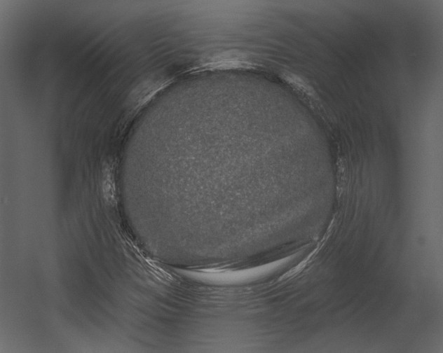 X0000054461305200508011451