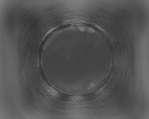 X0000054461306200508011451