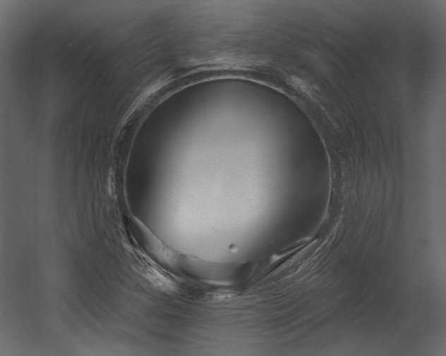 X0000054461307200508011451