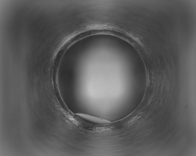 X0000054461311200508011451