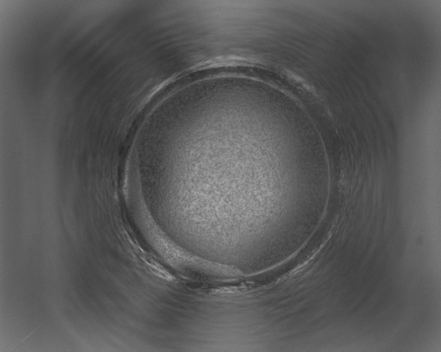 X0000054461313200508011451