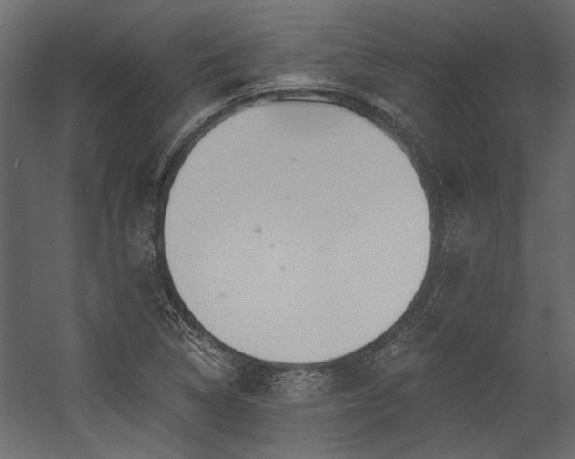 X0000054461314200508011451