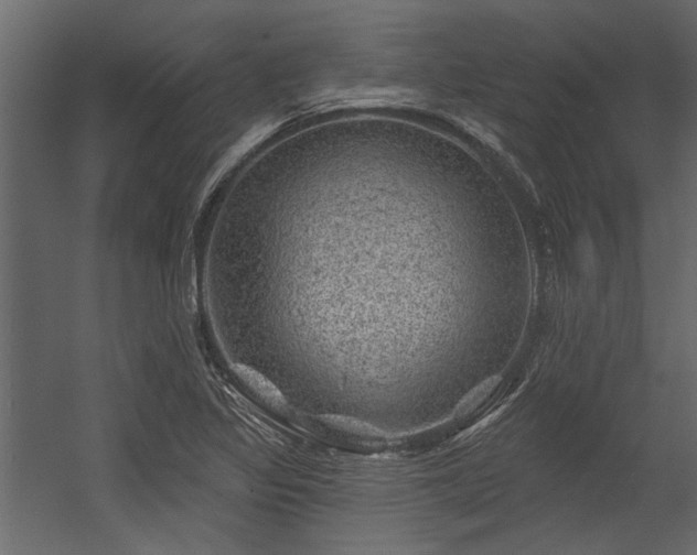 X0000054461317200508011451