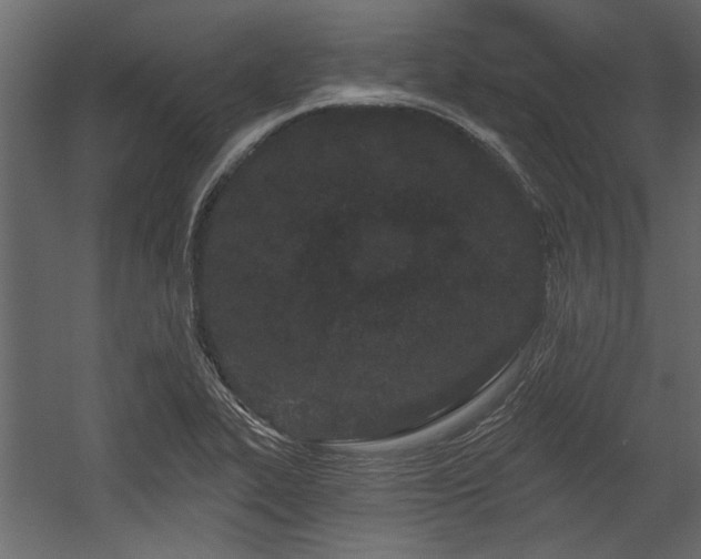 X0000054461319200508011451