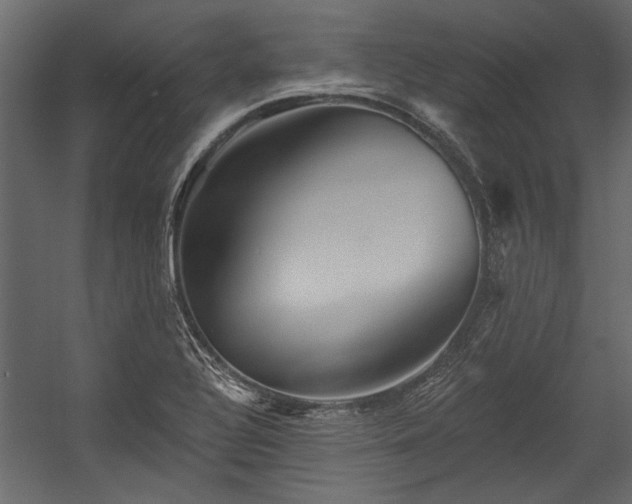 X0000054461320200508011451