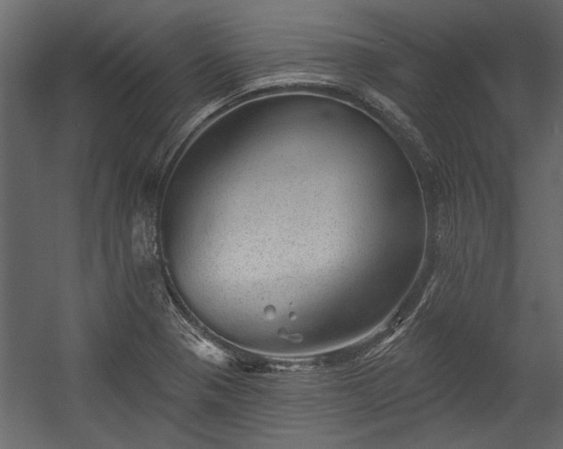 X0000054461321200508011451