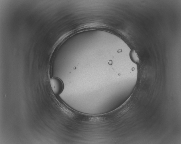 X0000054461322200508011451