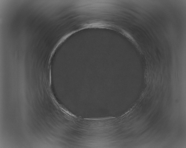 X0000054461323200508011451