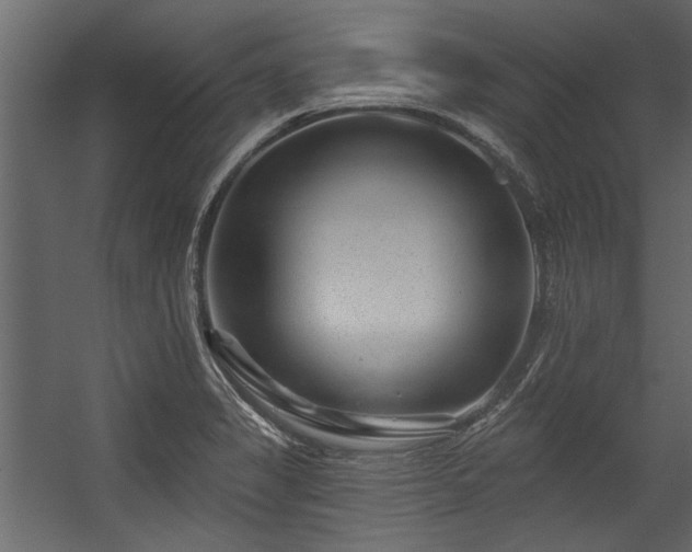 X0000054461325200508011451