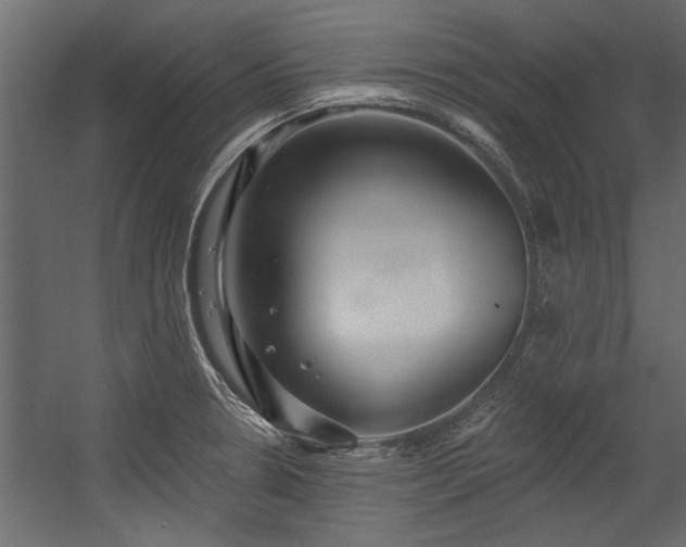 X0000054461330200508011451