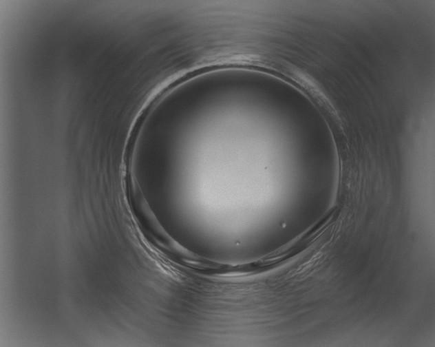 X0000054461332200508011451