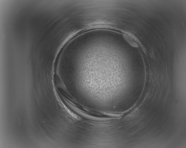 X0000054461333200508011451