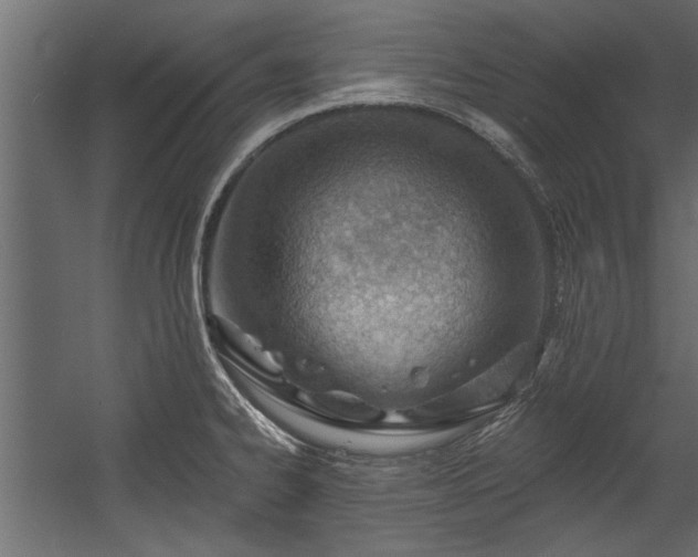 X0000054461334200508011451