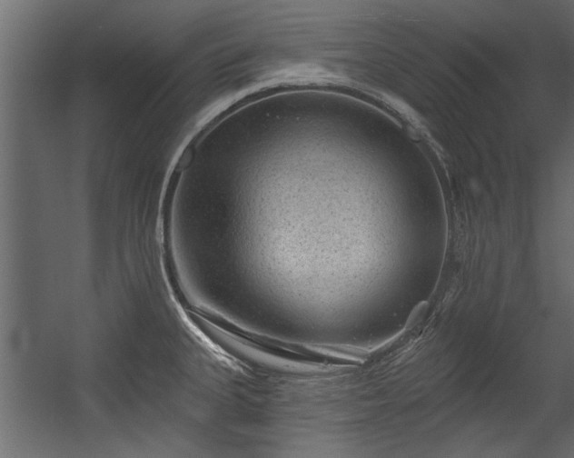 X0000054461335200508011451