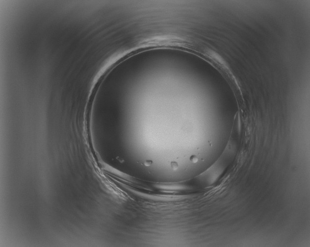 X0000054461336200508011451