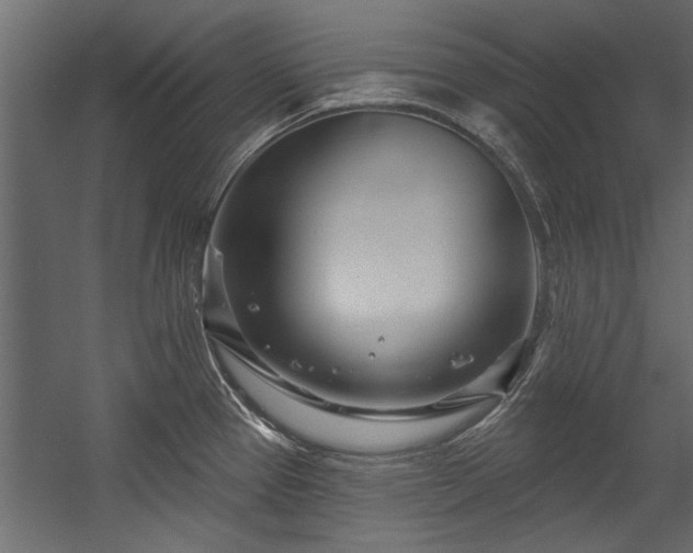 X0000054461337200508011451