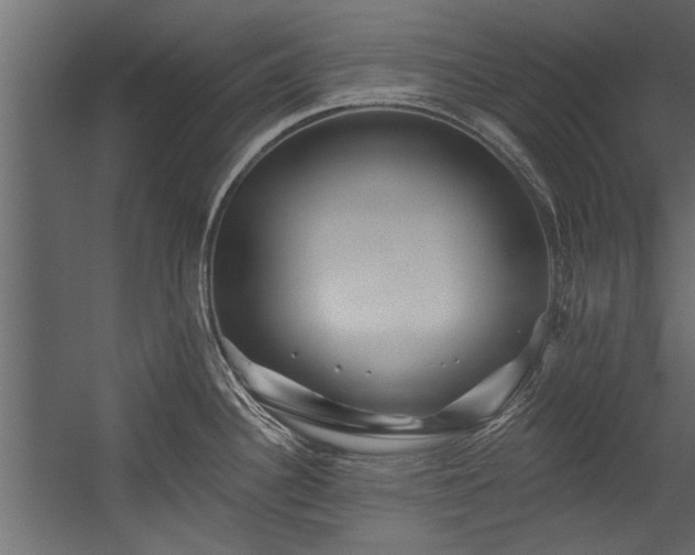 X0000054461340200508011451