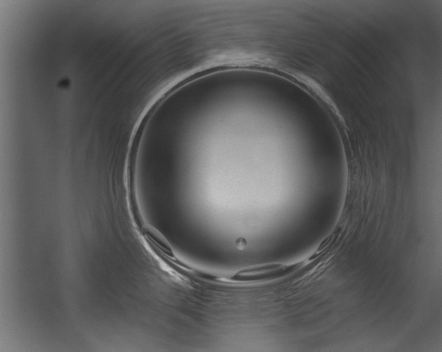 X0000054461343200508011451