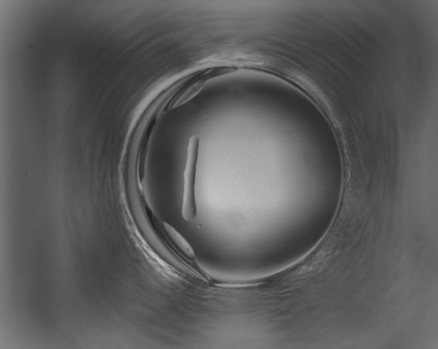 X0000054461344200508011451