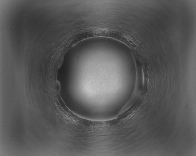 X0000054461345200508011451