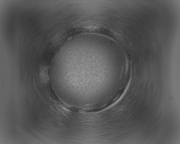 X0000054461347200508011451