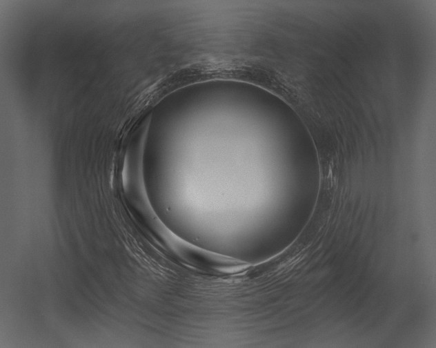 X0000054461348200508011451