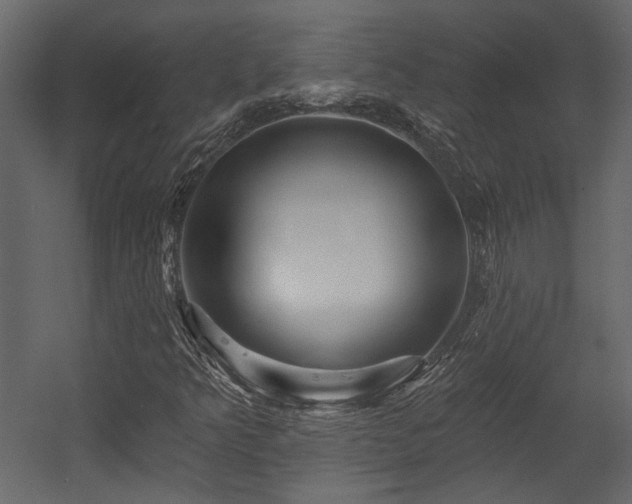 X0000054461349200508011451