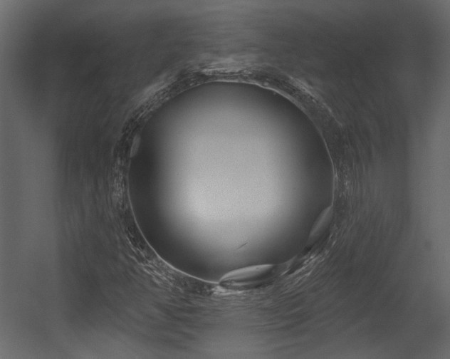 X0000054461350200508011451