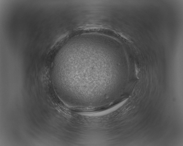 X0000054461351200508011450