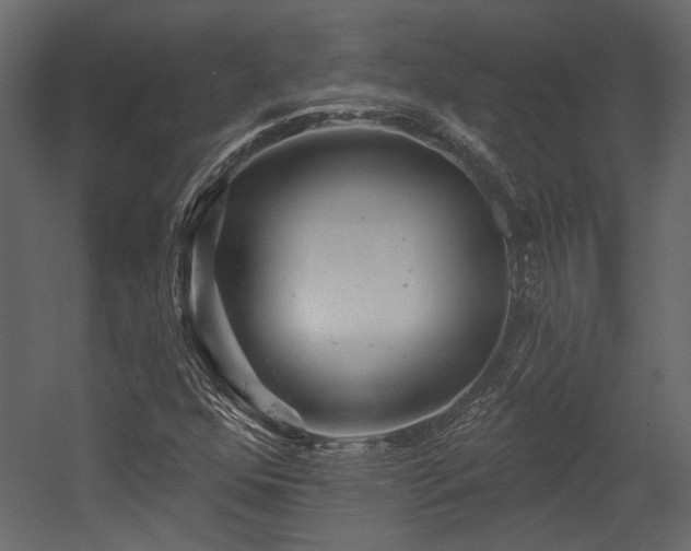 X0000054461352200508011450