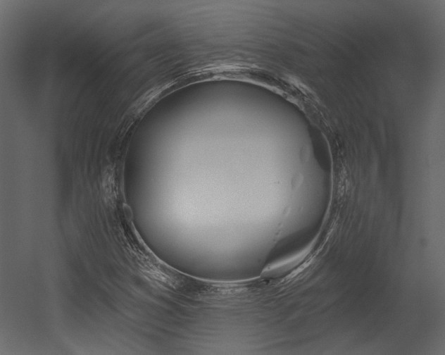 X0000054461353200508011450