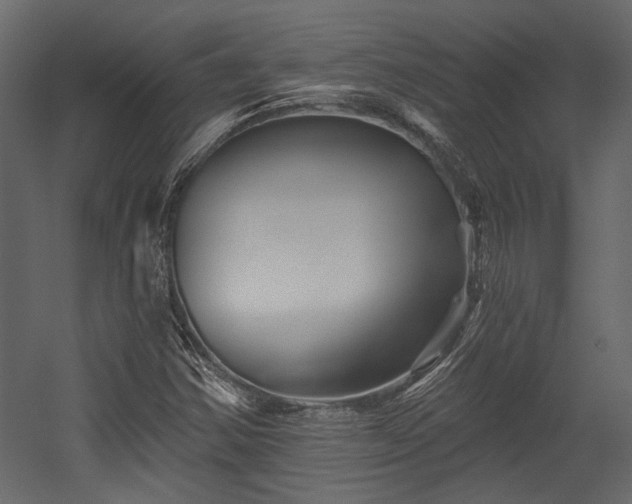 X0000054461354200508011450