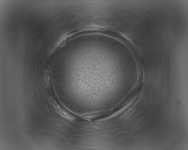 X0000054461355200508011450