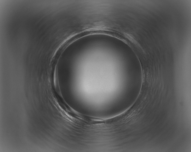 X0000054461356200508011450