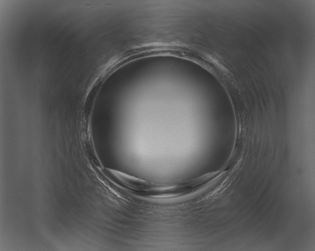 X0000054461357200508011450