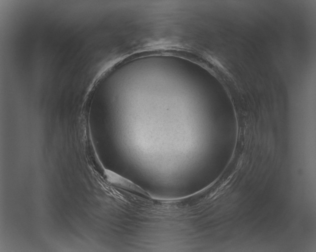 X0000054461358200508011450