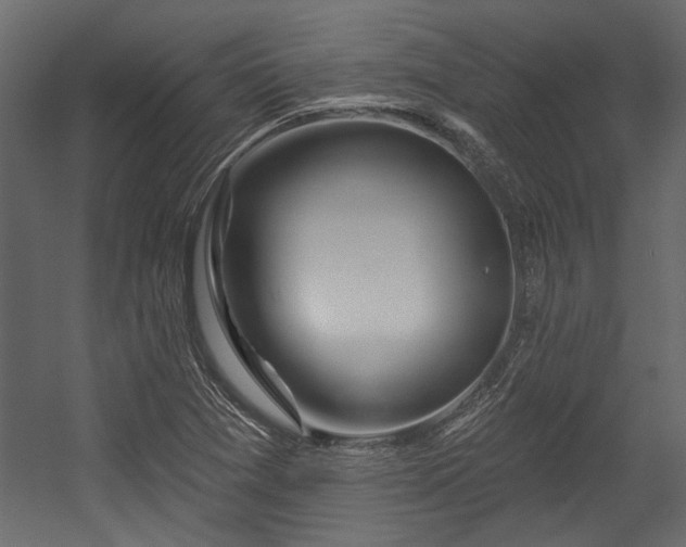 X0000054461361200508011450