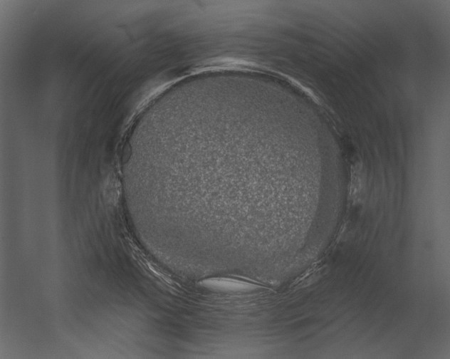 X0000054461363200508011450