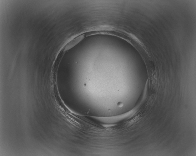 X0000054461364200508011450