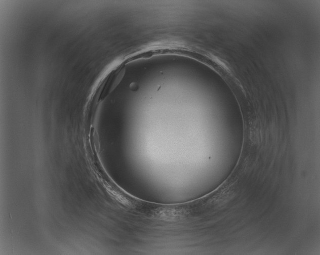 X0000054461366200508011450