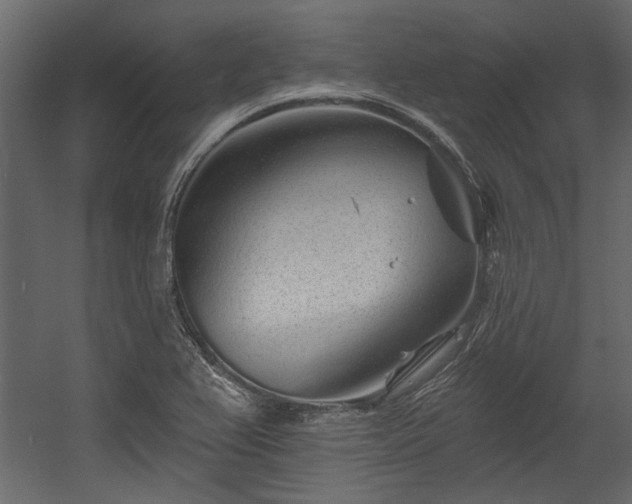 X0000054461367200508011450