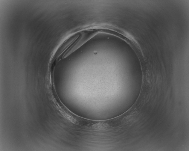 X0000054461368200508011450