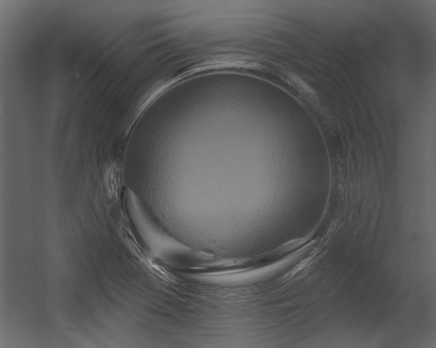 X0000054461369200508011450