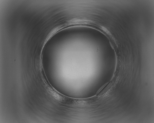 X0000054461370200508011450