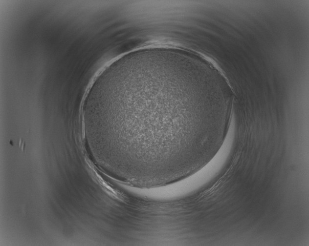 X0000054461371200508011450