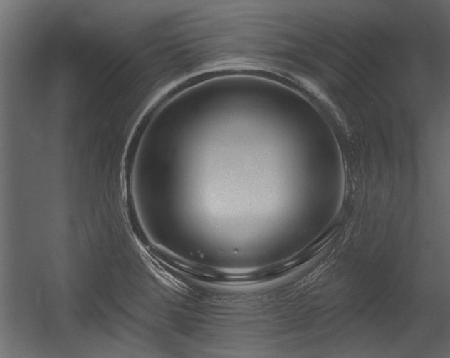 X0000054461372200508011450