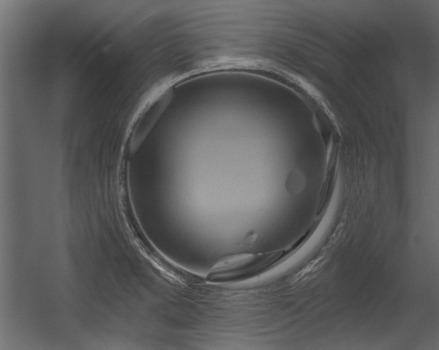 X0000054461373200508011450