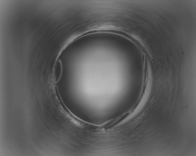 X0000054461374200508011450