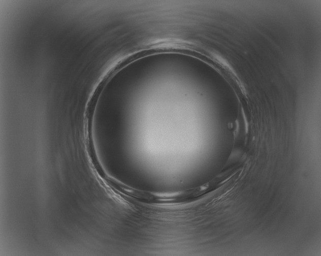 X0000054461376200508011450